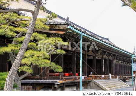 三十三間堂 三十三間堂 78436612