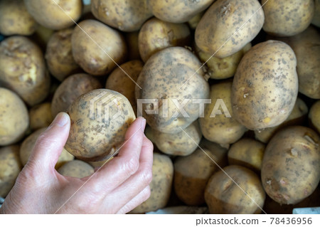 從許多土豆中選擇的人（帶皮生的） 78436956