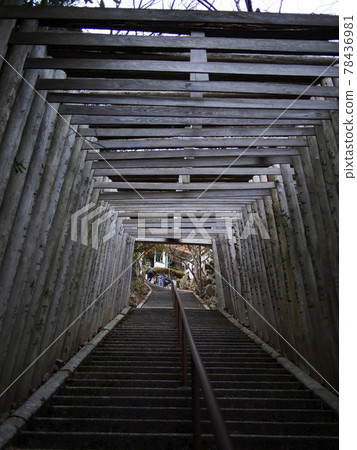 太郎宮的牌坊和樓梯(滋賀縣東御市大脅町) 太郎宮的牌坊和樓梯(滋賀縣東御市大脅町) 78436981