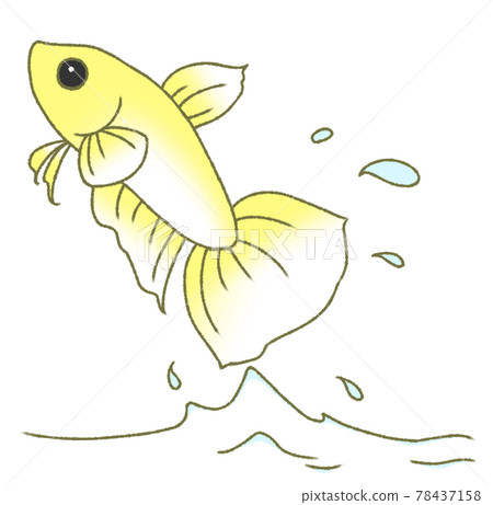 彈出的固體（黃色） 78437158