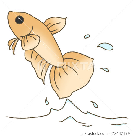 彈出的固體(橙色) 彈出的固體(橙色) 78437159