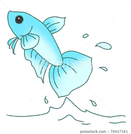 彈出的固體（淺藍色） 78437161