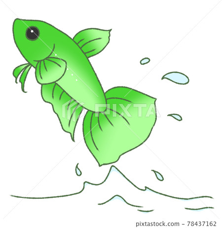 彈出的固體（綠色） 78437162