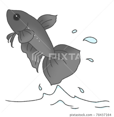 彈出的固體(黑色) 彈出的固體(黑色) 78437164