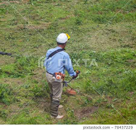 Workers mowing fallow fields 78437229