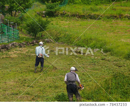 Workers mowing fallow fields 78437233