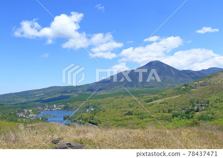 五月金星線白樺湖和蓼科山 78437471