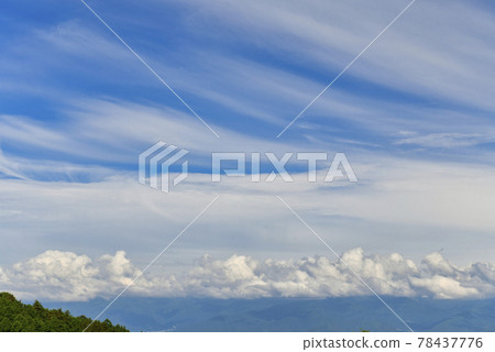 View from Iizuna Plateau (Zenkojidaira and summer sky) 78437776