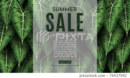 Summer Sale Banner With Tropical Leaves Background. Vector Illustration Summer Sale Banner With Tropical Leaves Background. Vector Illustration 78437992