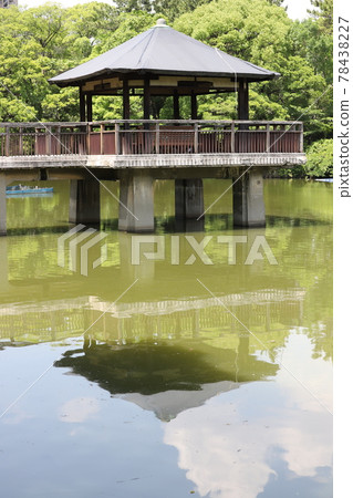 鶴舞公園龍池浮見堂 78438227