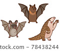 [Animal] Little brown bat, Scorpion fox, Pangolin 78438244