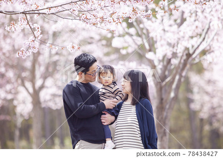 一家人在櫻花下玩耍 78438427