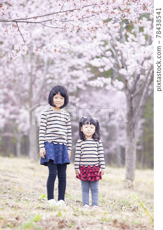 Sisters playing under the cherry tree Sisters playing under the cherry tree 78438541