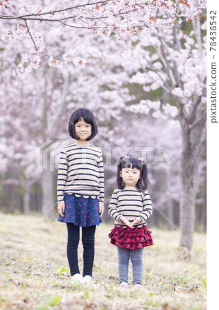 Sisters playing under the cherry tree 78438542