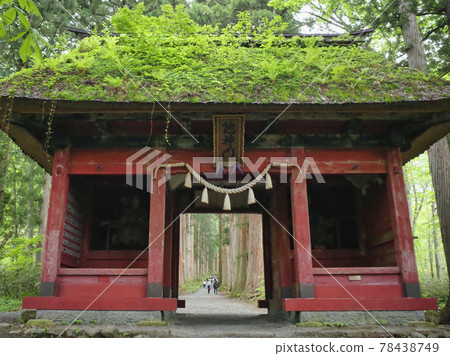 Shinshu Togakushi Shrine Okusha Zuijinmon and Cedar Avenue 78438749