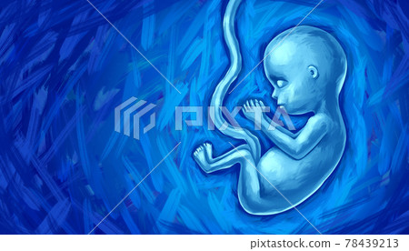 Fetal Development Fetal Development 78439213