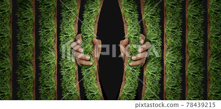 Garden Work 78439215