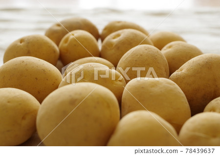 新土豆（馬鈴薯） 78439637
