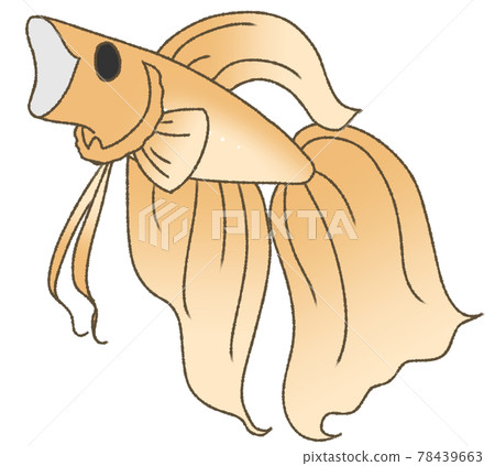 打哈欠固體(橙色) 打哈欠固體(橙色) 78439663