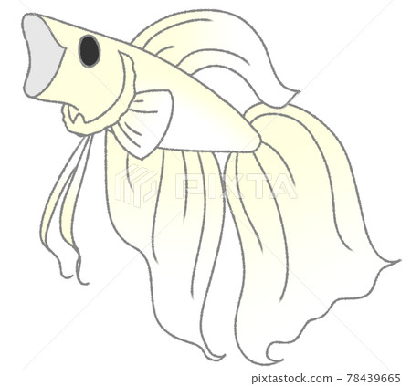 打哈欠固體（白色） 78439665