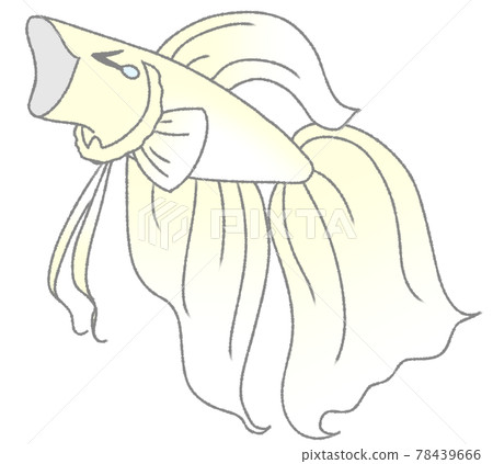 打哈欠固體（白色） 78439666