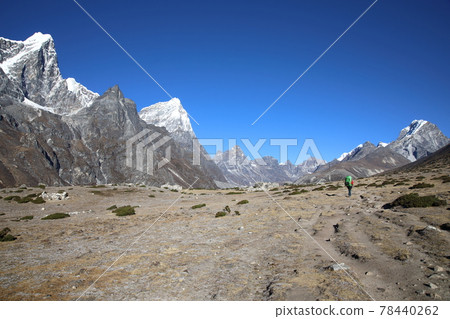Tauze and Cholatse (Nepal) seen from the vicinity of Dingboche village Tauze and Cholatse (Nepal) seen from the vicinity of Dingboche village 78440262