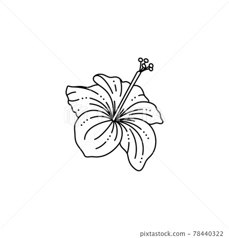 Hibiscus Flower in a Trendy Minimalist Liner Style. Vector Tropical Flower Illustration 78440322