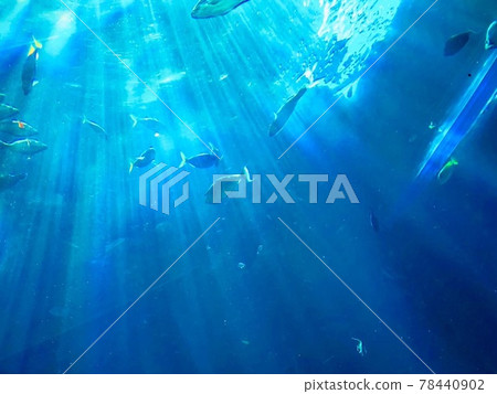 在沖繩海 在沖繩海 78440902