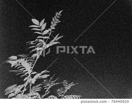 背景材料植物剪影水彩風格 背景材料植物剪影水彩風格 78440920