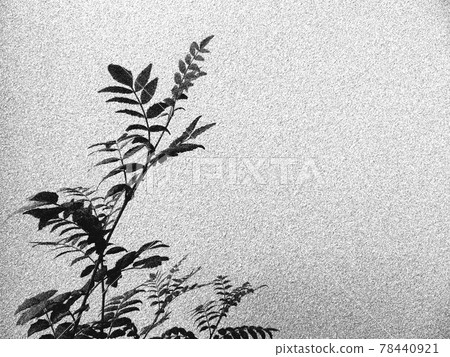背景材料植物剪影水彩風格 背景材料植物剪影水彩風格 78440921