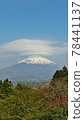 Mt. Fuji umbrella 78441137