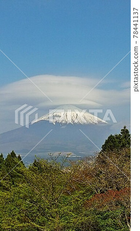Mt. Fuji umbrella Mt. Fuji umbrella 78441137