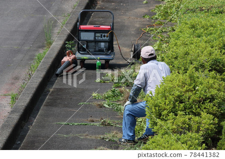 Hedge pruning work rest Hedge pruning work rest 78441382