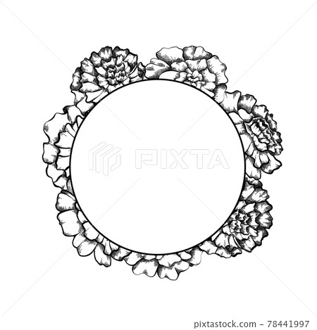 Round frame with monochrome sketch of marigolds and copy space. Invitation cards with flowerhead. Vector outline natural template for postcards. Round frame with monochrome sketch of marigolds and copy space. Invitation cards with flowerhead. Vector outline natural template for postcards. 78441997