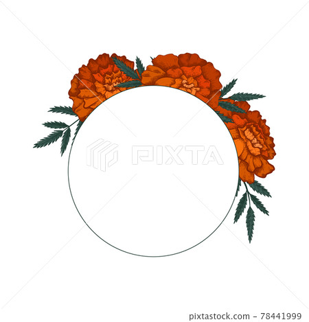 Round frame with colored sketch of marigolds with leaves and copy space. Invitation cards with flowerhead. Vector natural template for postcards Round frame with colored sketch of marigolds with leaves and copy space. Invitation cards with flowerhead. Vector natural template for postcards 78441999