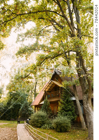 Tourist Guest House For Rest. Wooden House In Forest In Autumn Sunny Day. Wooden Boarding Path Way Pathway Leading To Tourist House. Resort In Wooden Guest House 78442014