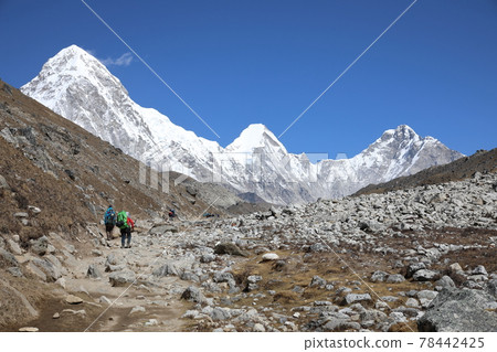 Pumori (Nepal) seen from near Lobuche Pumori (Nepal) seen from near Lobuche 78442425