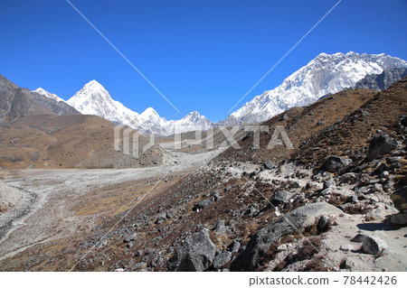 從 Lobuche 附近看到的 Pumori（尼泊爾） 78442426