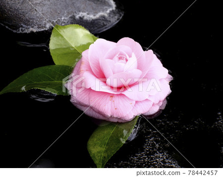 Issa Soju Memorial Hall, Nagareyama City, Chiba Prefecture Issa Soju Memorial Hall, Nagareyama City, Chiba Prefecture 78442457