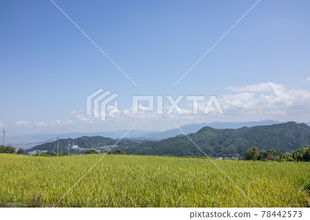 葛城古道 78442573