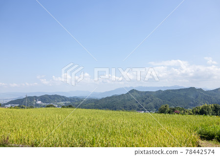 葛城古道 葛城古道 78442574