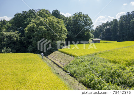 葛城古道 78442576