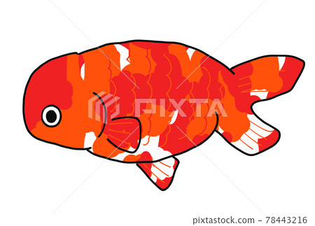 蘭楚金魚圖 蘭楚金魚圖 78443216