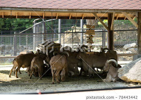 Seoul National University Park 78443442