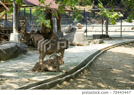 Seoul National University Park 78443447