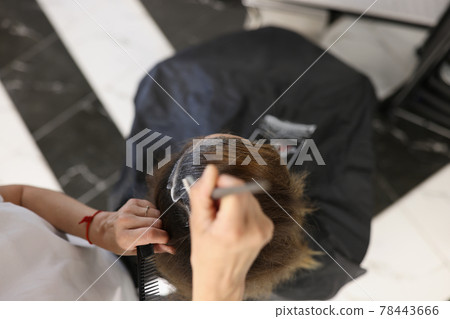 Hairdresser dyeing hair to woman with brush in beauty salon top view Hairdresser dyeing hair to woman with brush in beauty salon top view 78443666