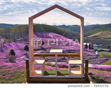 Toigakko Shiba Sakura Park 78443778