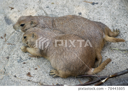 Seoul National University Park Seoul National University Park 78443805
