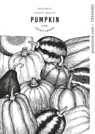 Pumpkin color design template. Vector hand drawn illustrations. Thanksgiving backdrop in retro style with pumpkin harvest. Autumn background. Pumpkin color design template. Vector hand drawn illustrations. Thanksgiving backdrop in retro style with pumpkin harvest. Autumn background. 78444060