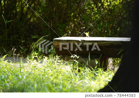 在森林裡的木凳上 78444383